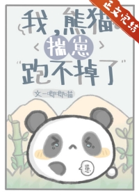 小说我熊猫不服